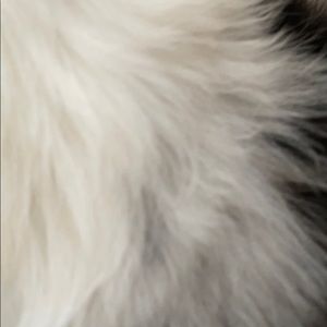 Meet your Posher, Reis